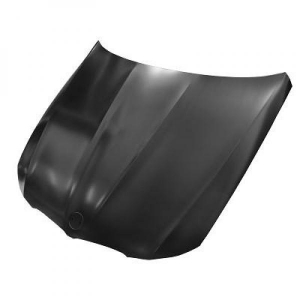 BMW Motorhaube        Bmw E90, 1216100