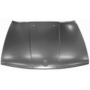 BMW Motorhaube        Bmw E34, 1222000