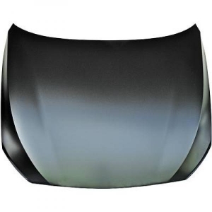 BMW Motorhaube            F07, 1225600