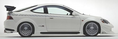 Carbon Fiber GT Wing