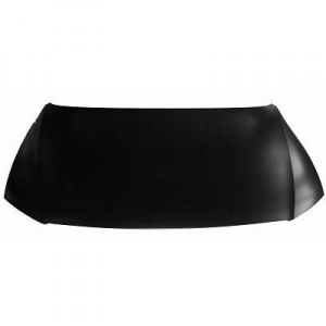 Volkswagen Motorhaube         Passat, 2247000