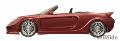 MR-S Fortune Kit