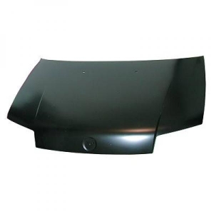Fiat Motorhaube     Fiat Punto, 3453000