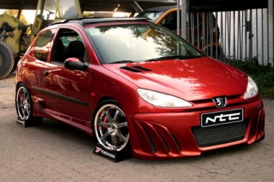 Peugeot 206 Frontstostange High-Design