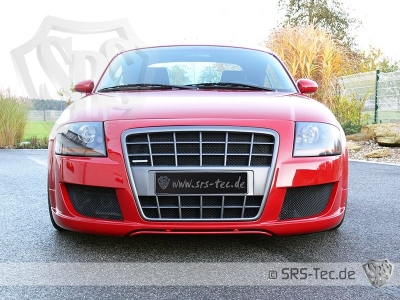 Front grille GT, Audi TT 8N