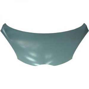 Citroen Motorhaube             C1, 4080100