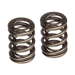 Honda B16/B17/B18C Tuner Valve Spring Set Dual Skunk2