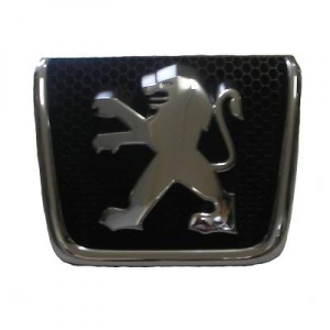 Peugeot Anbauteil Grill     P 307, 4234047