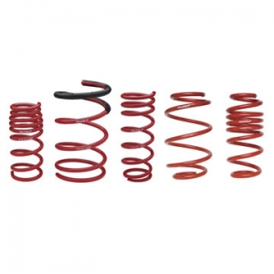 Honda Civic 01-05 3D Lowering Springs 5/6cm Skunk2