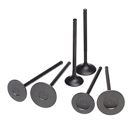 Honda H-Series VTEC Valve Set STD Comp. +1.0mm Skunk2