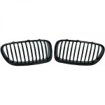 BMW Designgrill Set    F10/11, 5-Reihe (F10) 10-13, 1225540