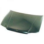 Fiat Motorhaube    Palio W.End, 3465000