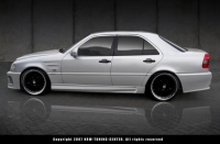 Mercedes C-Klasse Exclusiv-Line fender mit T�v