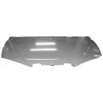 Hyundai Motorhaube        Elantra, 6843000